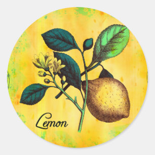 Adesivo Redondo A fruta do limão floresce o vintage das folhas