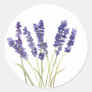 Adesivo Redondo A lavanda floresce a lavanda francesa