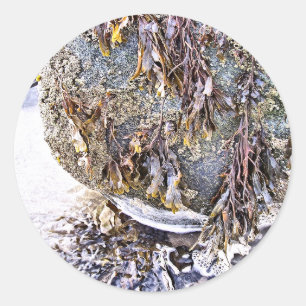 ADESIVO REDONDO A PRAIA