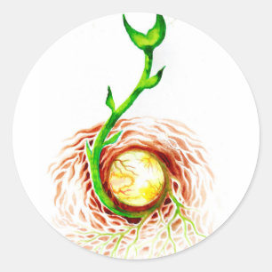 Adesivo Redondo A semente da tela de poster da vida imprimida a la