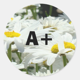 Adesivo Redondo A+ Stickers Estudantes Grau Professores Daisy