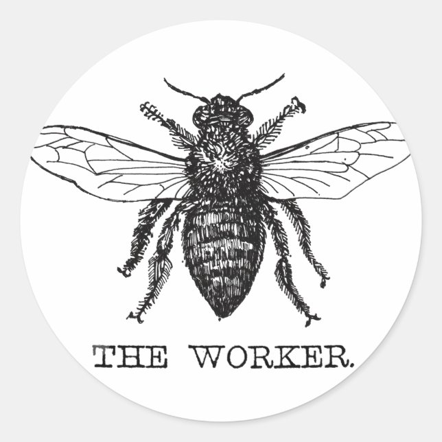 Adesivo Redondo Abeja Trabalhadora Mel Abelha Preta (Frente)