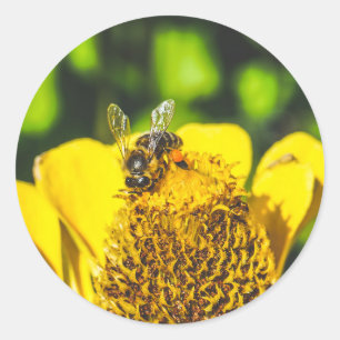 Adesivo Redondo abelha em flor amarela