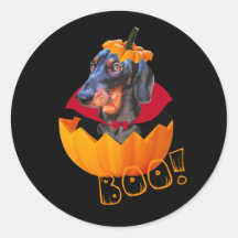 Abóbora de salsicha das bruxas