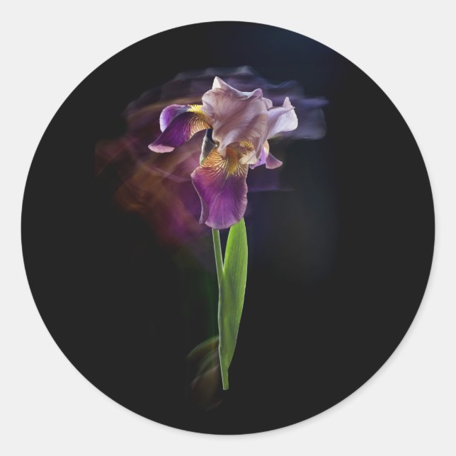 Adesivo Redondo Abstract Iris Flower – Elegant Floral Art (Frente)