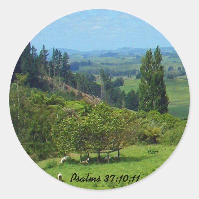 Adesivo Redondo Abundância do Pau de Paz (Frente)