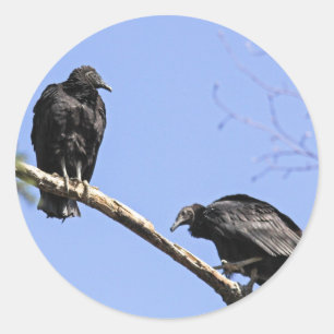 Adesivo Redondo Abutres pretos