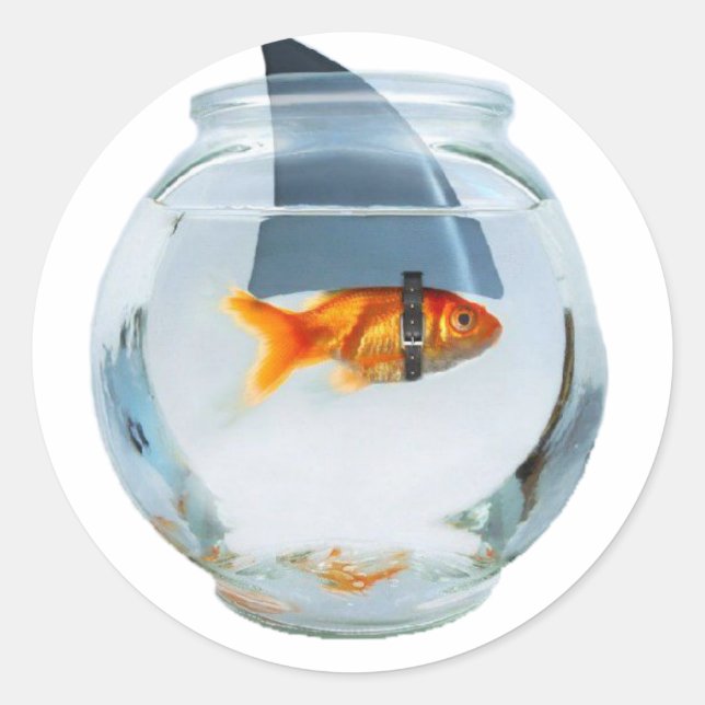 Adesivo Redondo Acredite no seu peixe (Frente)