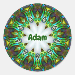 Adesivo Redondo ADAM ~ Personalizado Paua Shell Fractal ~