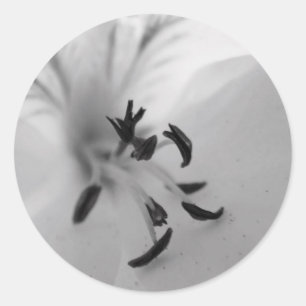 Adesivo Redondo &Adesivos do Geranium Center B&W