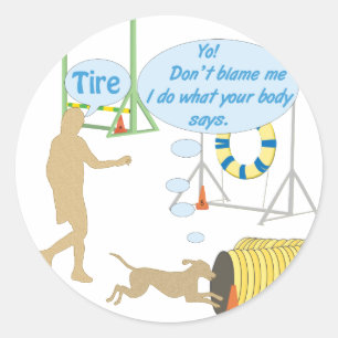 Adesivo Redondo Administração corporal