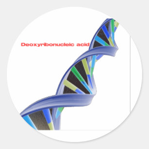 Adesivo Redondo ADN - Ácido Deoxyribonucleic