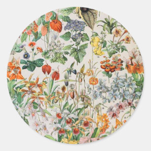 Adesivo Redondo Adolphe Millot flores D