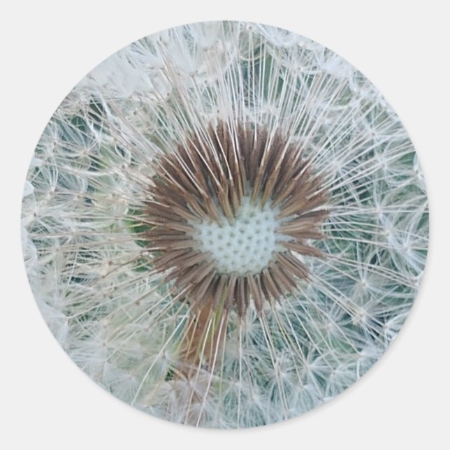 Adesivo Redondo Adorável Dandelion Branco (Frente)