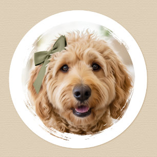 Adesivo Redondo Adorável Foto Personalizada de Cachorro Pet Modern