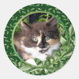 Adesivo Redondo Adorável Green Eyed Calico Kitten