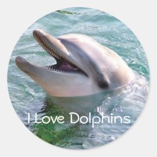 Adesivo Redondo Adoro Dophins Sticker