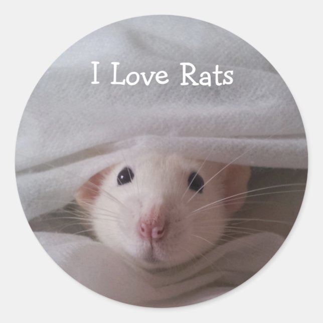 Adesivo Redondo Adoro Rats Stickers