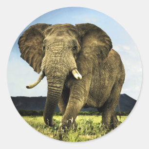 Adesivo Redondo africano-elefante