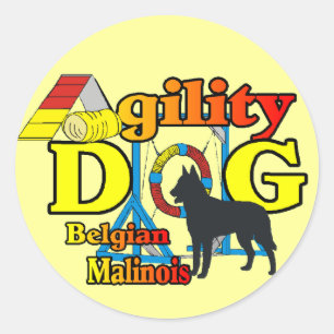 Adesivo Redondo Agilidade dos palitadores belgas Malinois