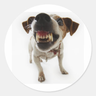 Adesivo Redondo agressivo