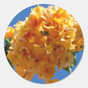 Adesivo Redondo Agrupamento de Flores Tropicais de Bougainvillea D
