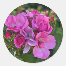 Adesivo Redondo Agrupamento de rosas cor-de-rosa lavanda
