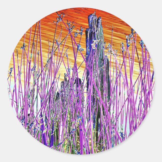 ADESIVO REDONDO ÁGUA (Frente)