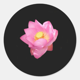 Adesivo Redondo Água com palhetas