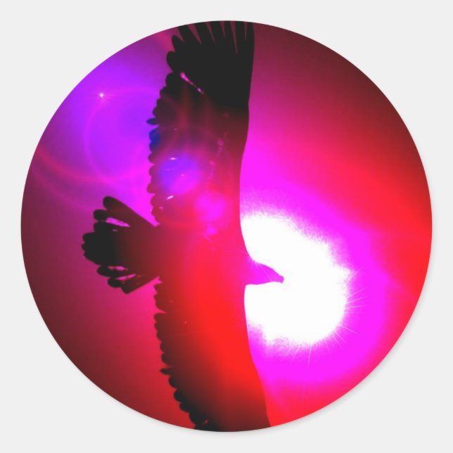 Adesivo Redondo Águia Bald Americano (Frente)