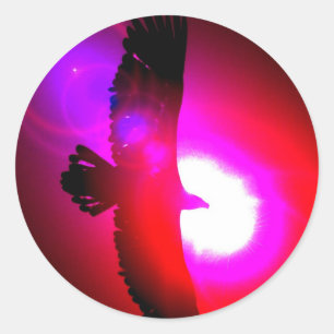 Adesivo Redondo Águia Bald Americano