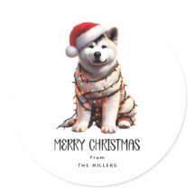 Akita Christmas Dog