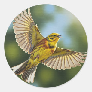 Adesivo Redondo Alabama State Bird Yellowhammer