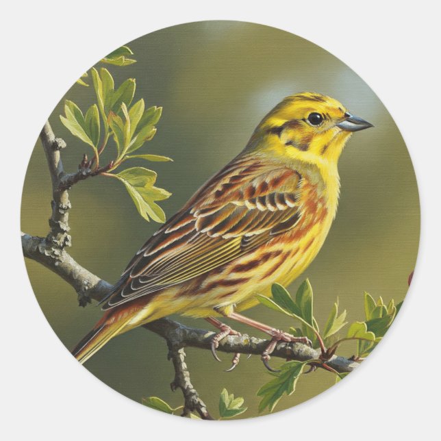 Adesivo Redondo Alabama State Bird Yellowhammer (Frente)