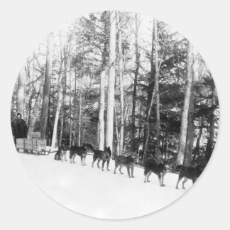 Adesivo Redondo Alaska Dog Sledim