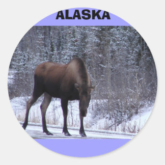 Adesivo Redondo Alaska Moose