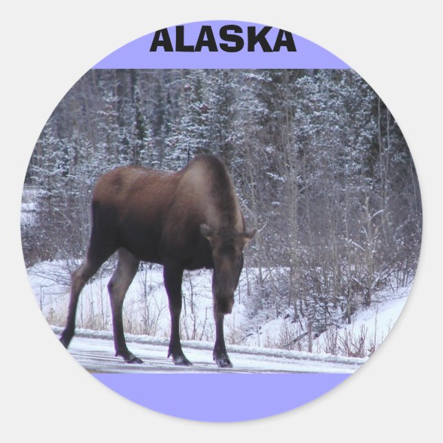 Adesivo Redondo Alaska Moose (Frente)
