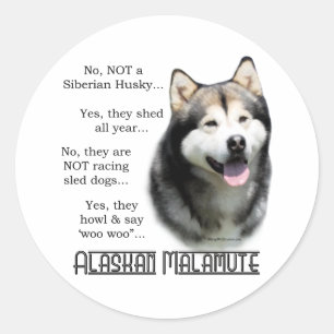 Adesivo Redondo Alaskan Malamute FAQ Sticker