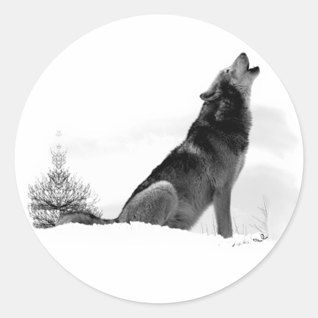 Adesivo Redondo Alaskan Timber Wolf Sticker (Frente)
