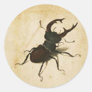 Adesivo Redondo Albrecht Durer Stag Beetle Renaissance Vintage Art