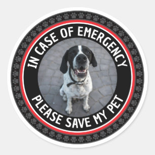 Adesivo Redondo ALERTA DE SEGURANÇA DO MEU PET Personalizado Foto 