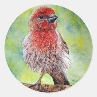 Adesivo Redondo Alfinetes