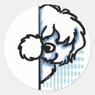 Adesivo Redondo Algodão de canto de Tulear