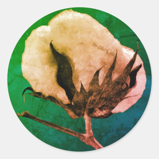 Adesivo Redondo Algodão-Pau (Frente)