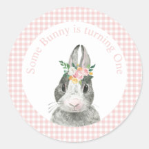 Algum Coelhinho é Um Aniversário de Gingham Rosa