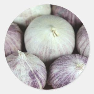 Adesivo Redondo Alho de solo