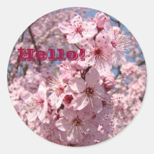 Adesivo Redondo Alô! Pinheiros Flores de Flor de Flor de Árvore Ro