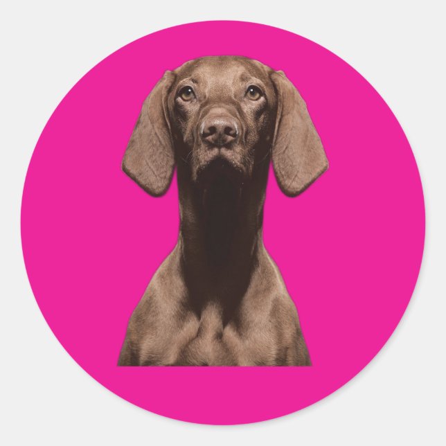 Adesivo Redondo Alojadores de cães (Frente)