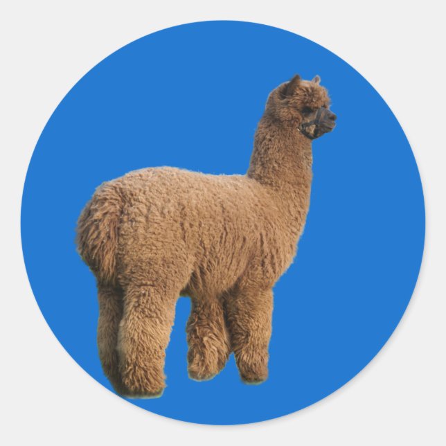 Adesivo Redondo Alpaca Magic Sticker (Frente)