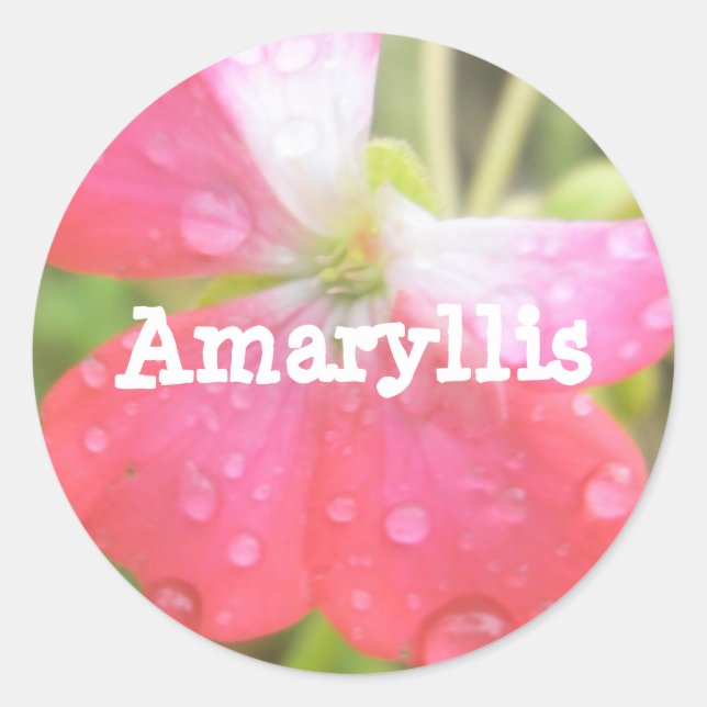 Adesivo Redondo Amaryllis (Frente)